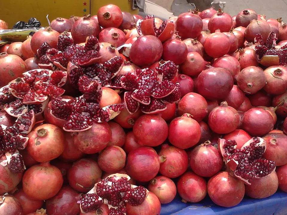 Round red fruits, some opened to show tightly packed ruby-colored seeds