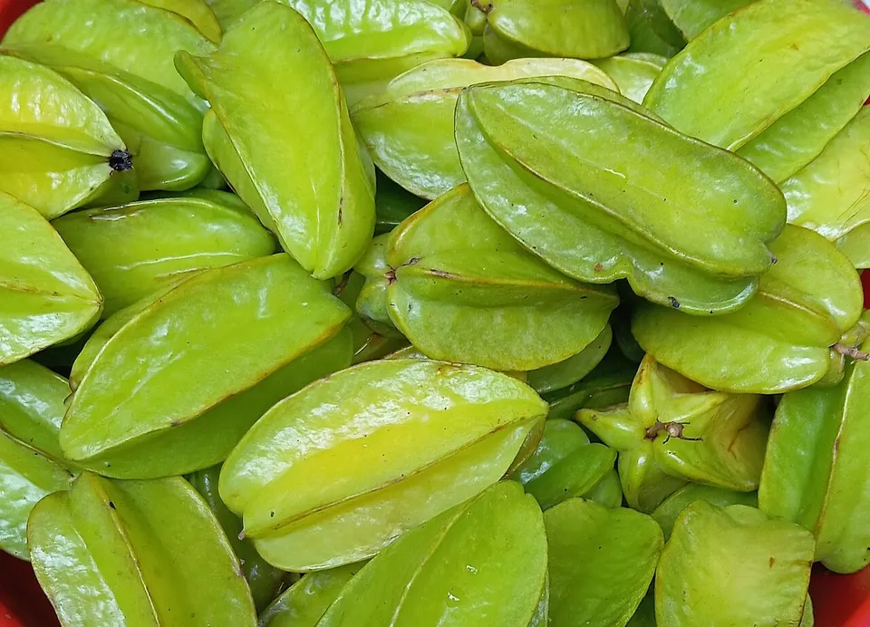 Glossy green-yellow fruits with deep lengthwise ridges